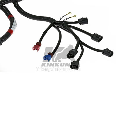 Custom Engine Wiring Harness