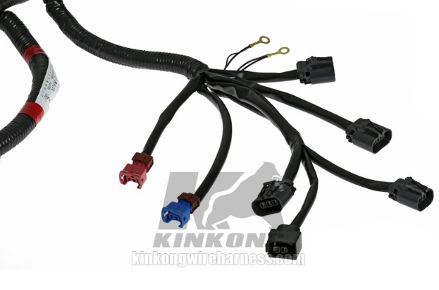 Custom Engine Wiring Harness