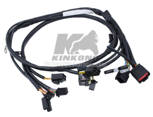 Custom Complete Assembly Wire Harness