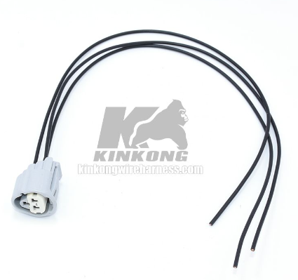 Sensor Wire Harness