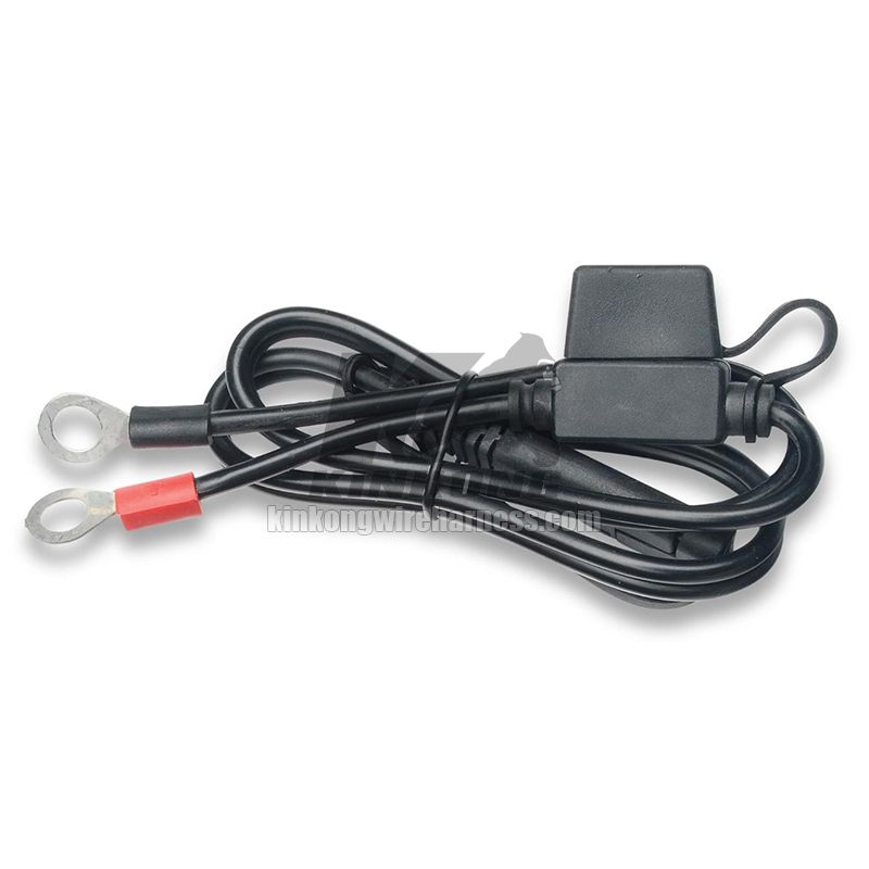 Ring Terminal Harness with Black Fused 2-Pin Quick Disconnect Plug