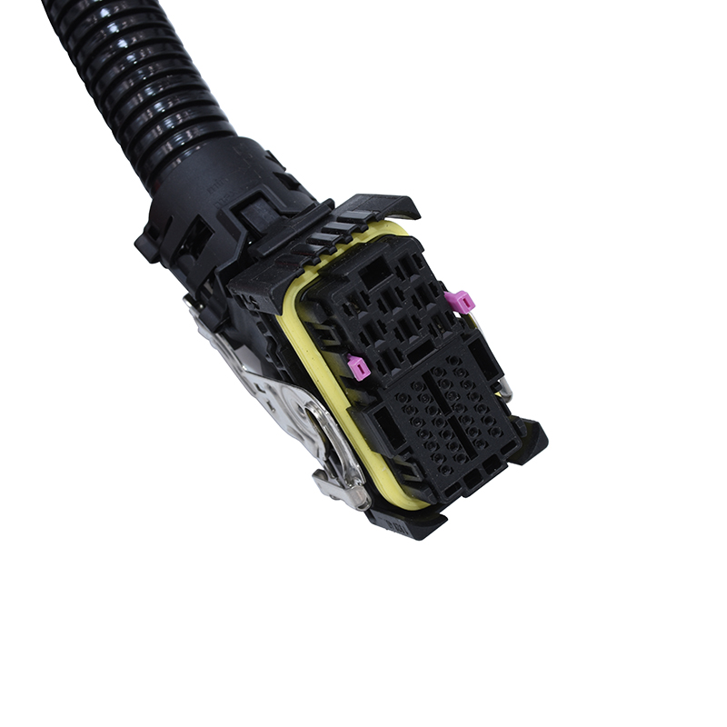 WEICHAI WP10 Sensor Wire harness