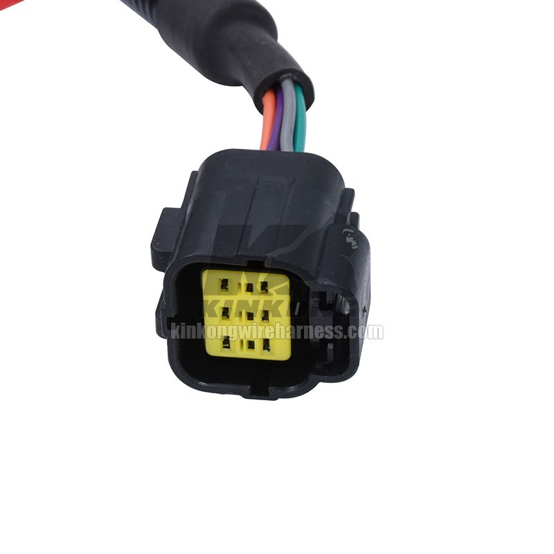 WEICHAI WP10 Sensor Wire harness