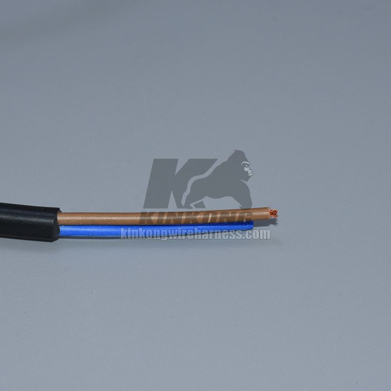 OVER MOLDED CABLE