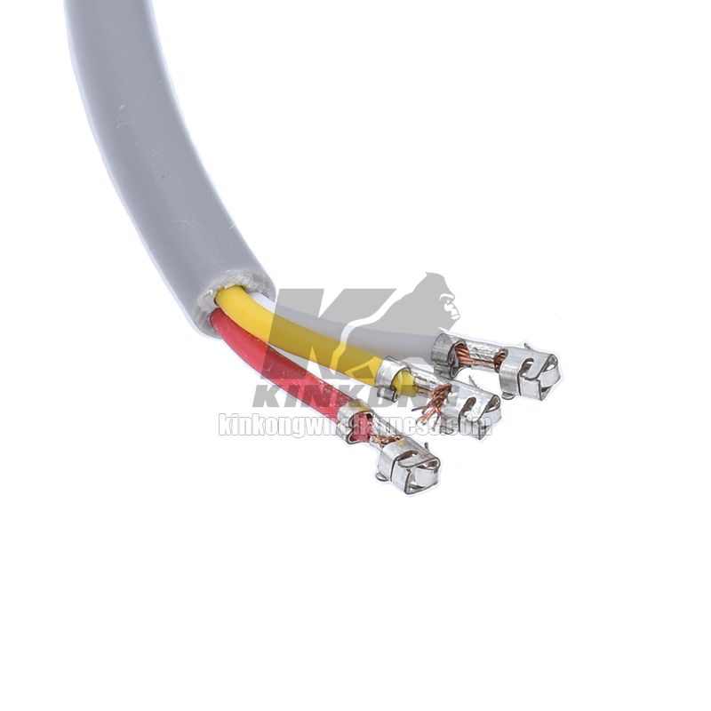 Power Cable Harness 9