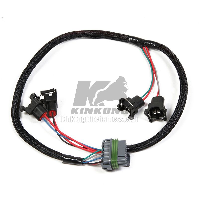 Fuel Injection Wire assembly