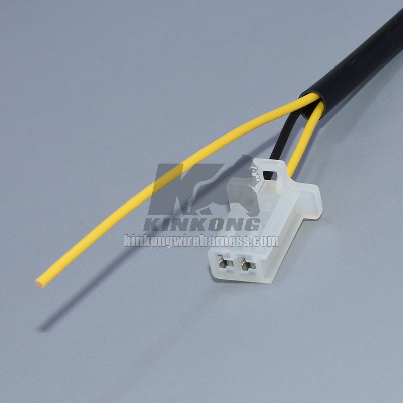 Custom extension harness with 2 way 6030-2101 6040-2111 connector