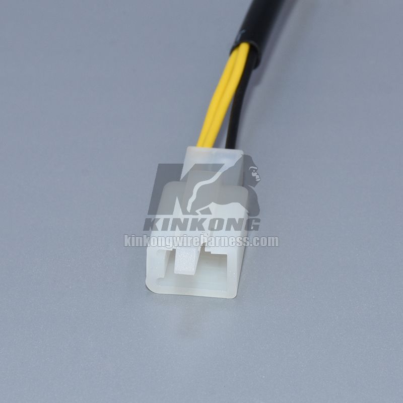 Custom extension harness with 2 way 6030-2101 6040-2111 connector
