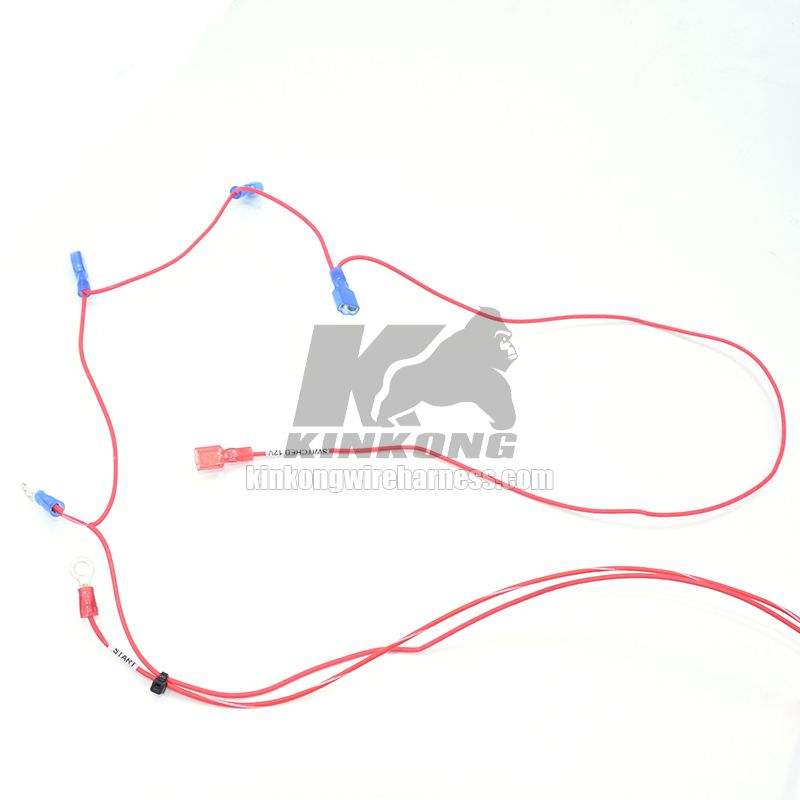 Custom fuse relay harness WD9879