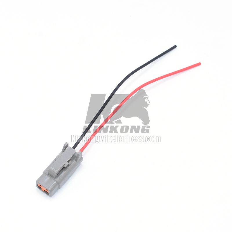 Custom DTM 2 way DTM06-2S extend wire harness