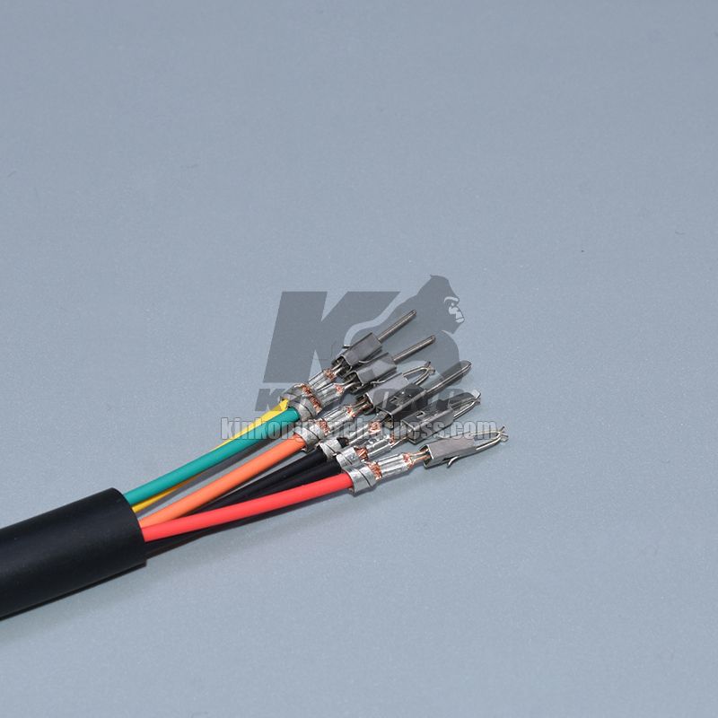 Custom wire harness with Molex 39-01-2160