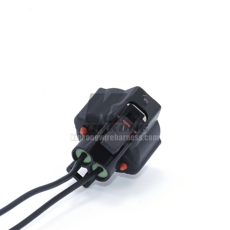 Custom Wire Harness pigtail with 2 hole connector  WA10141