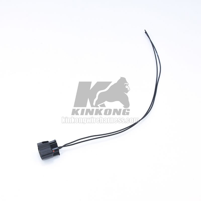 Custom Wire Harness pigtail with 2 hole connector  WA10141
