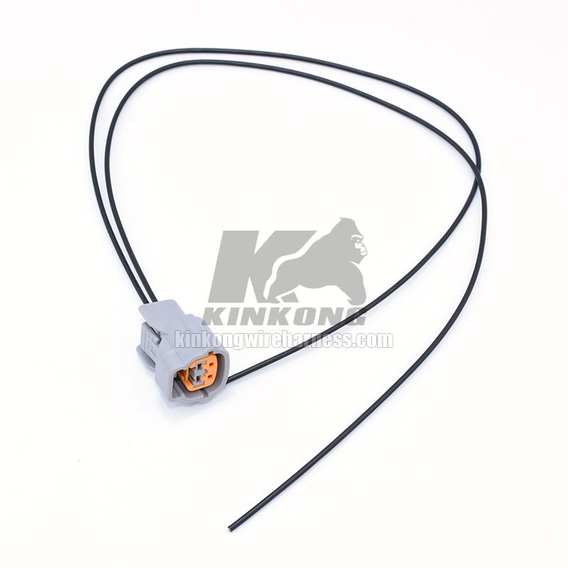 Custom wiring harness Replacement With 2 Pin Connector For Motorcycle WA10166