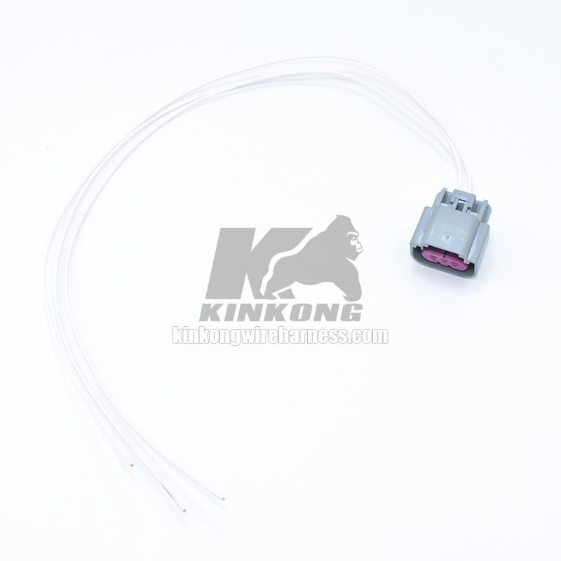 Custom Wire Harness GT 150 For BMW  WA10172