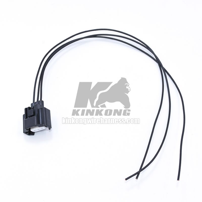 Custom wiring harness RK03FB GTR EOP PWRSTEERING AIR CON PRESS  WA10175