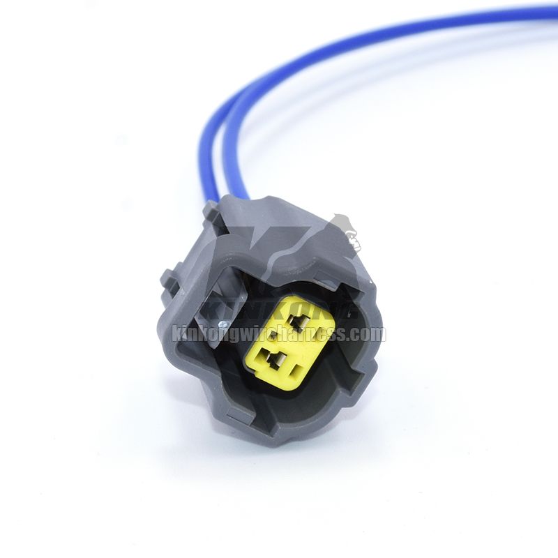 Sensor connector 2-pin plug 184002-1 with Custom wiring harness WA10179