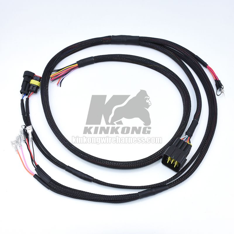 Custom Engine Oxygen Sensor Wiring Loom WD9955