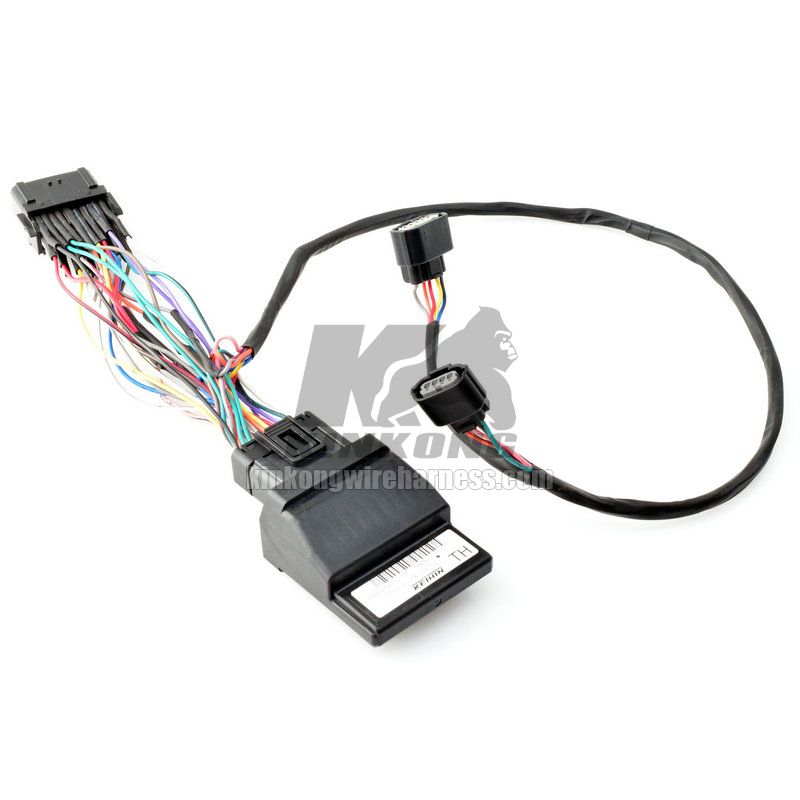 Honda Civic custom ecu wire harness kit