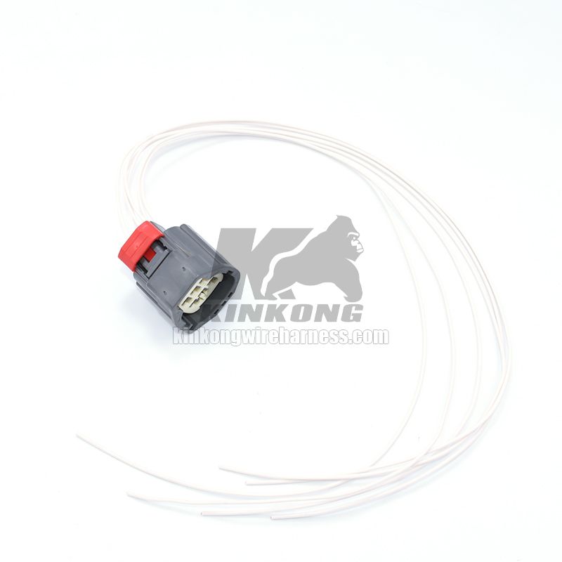 Custom Wire Harness 6 hole Accelerator pedal  WA10198