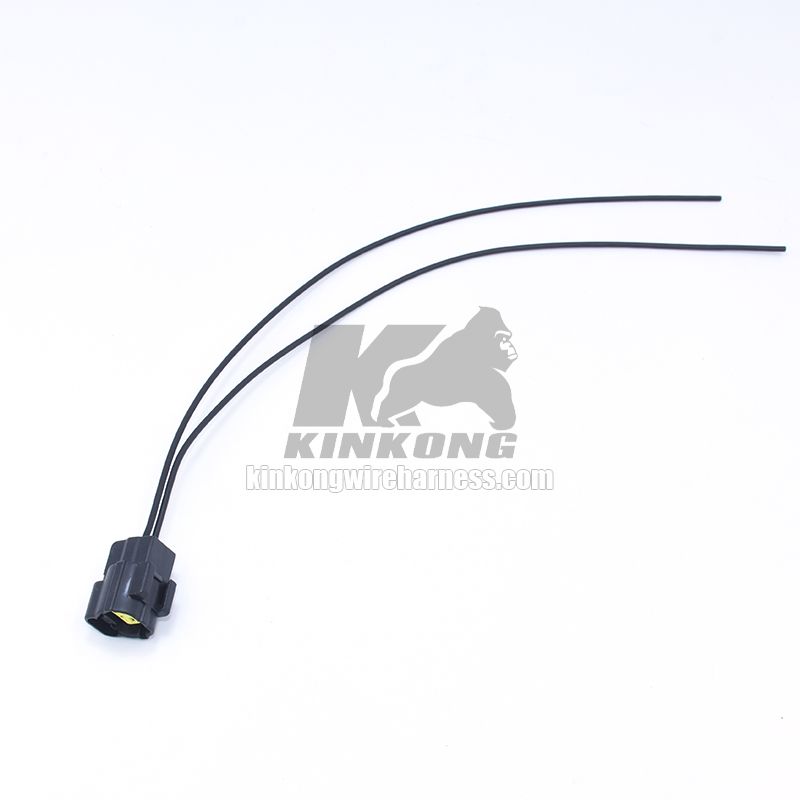 Custom Wire Harness pigtail with 2hole connector WA10101