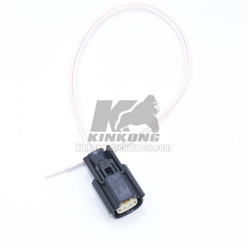 Custom Wire Harness pigtail with 2 hole connector WA10150