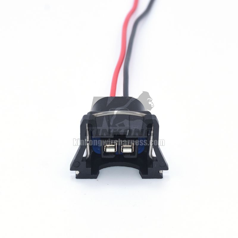 Custom Wire Harness pigtail with 2 hole connector WA10182