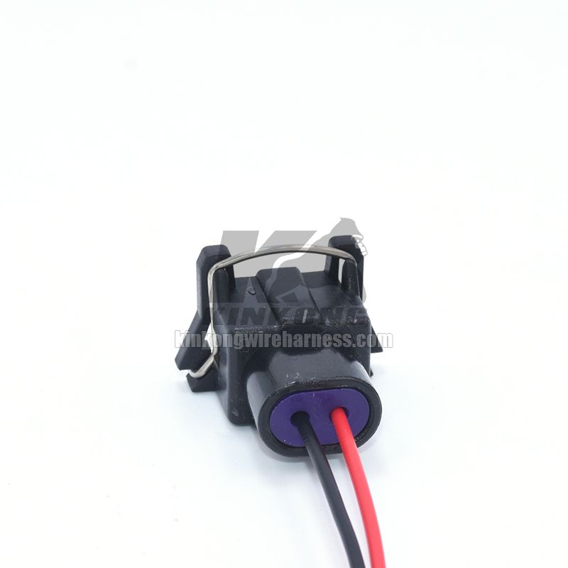 Custom Wire Harness pigtail with 2 hole connector WA10182