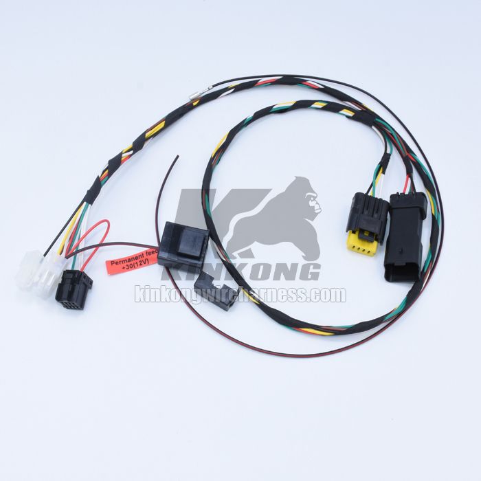 Custom made Wire harness for Peugeot - Citroen W/H AP800