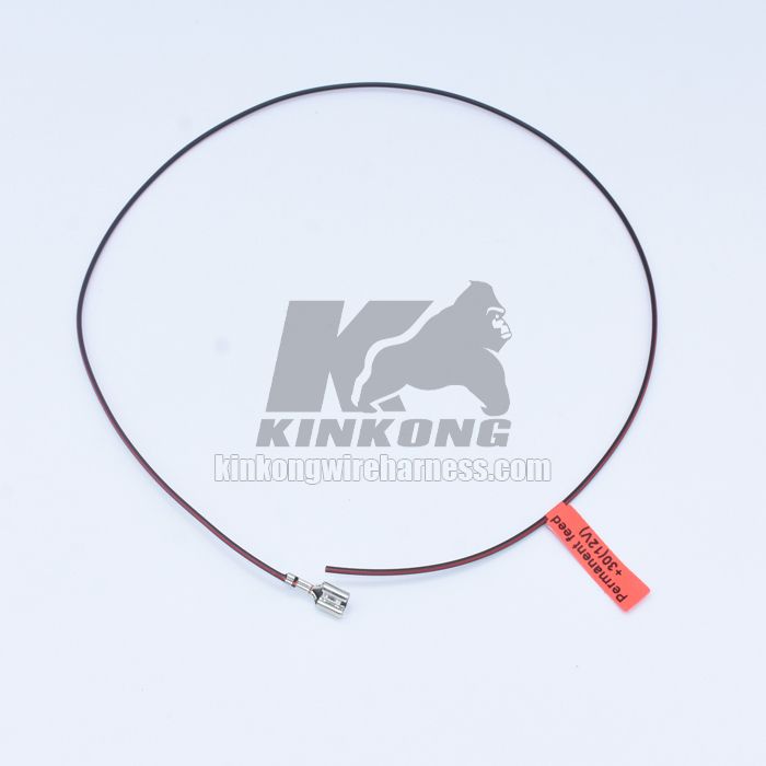 Custom made Wire harness for Peugeot - Citroen W/H AP800