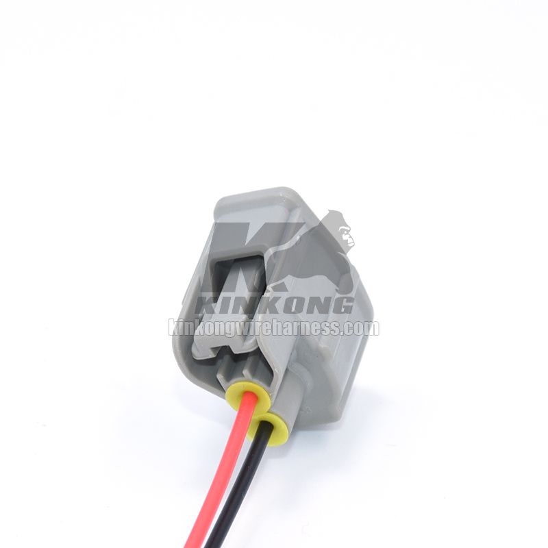 Custom automotive harness with 2 hole injector connector for Toyota COROLLA Ford WPT-1277 CU2Z-14S411-UA 6189-0611 90980-11875