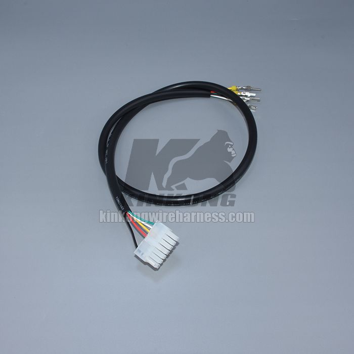 Custom ECU wire harness WC009-1