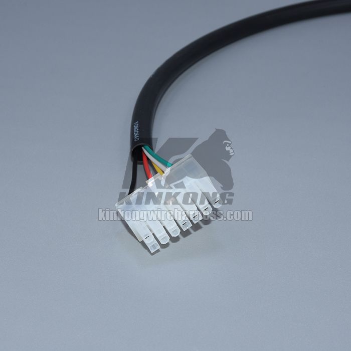 Custom ECU wire harness WC009-1