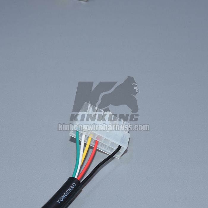 Custom ECU wire harness WC009-1