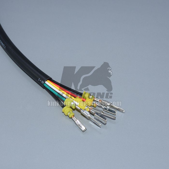 Custom ECU wire harness WC009-1