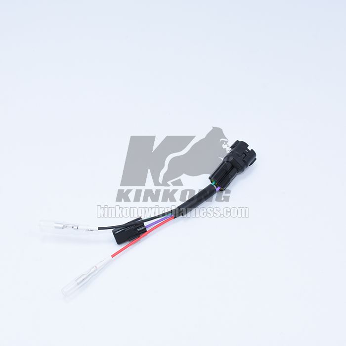 Custom Wire harness for vehicle WD829