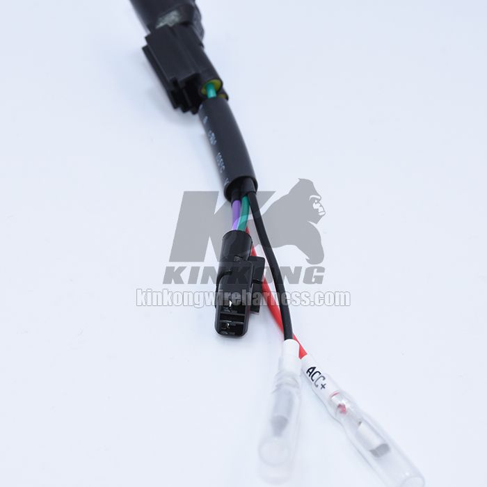 Custom Wire harness for vehicle WD829