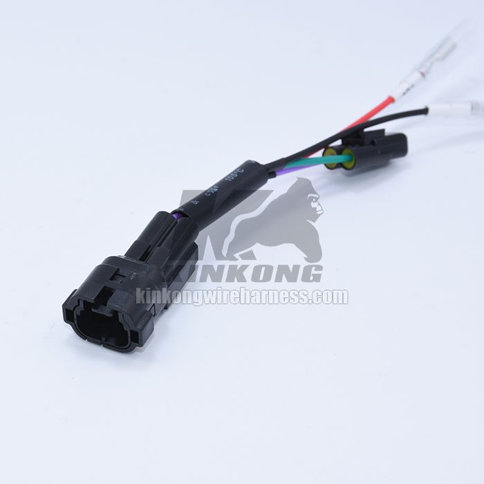 Custom Wire harness for vehicle WD829