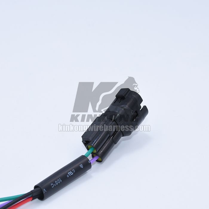 Custom Wire harness for vehicle WD829