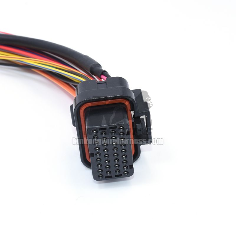 Custom flying lead wire harness with 4-1437290-0 WA512