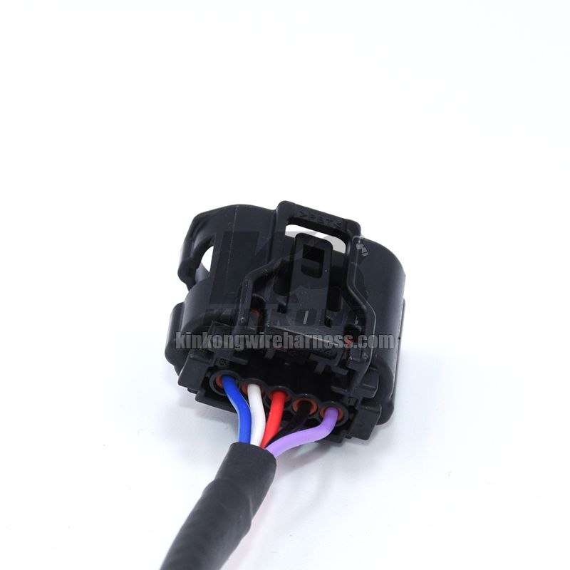 Custom  pigtail wire harness with connector WS00199