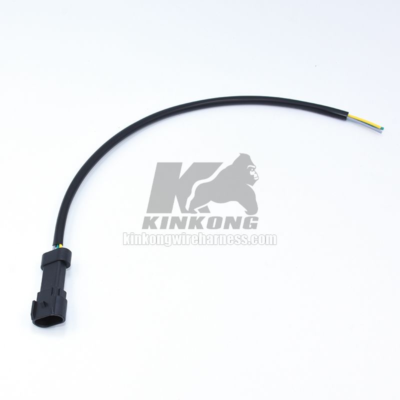 Custom engine external wiring harness WA000111