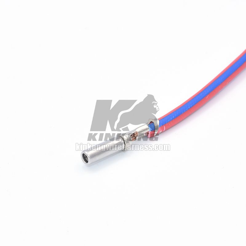 Custom automotive terminal wire harness WB9936