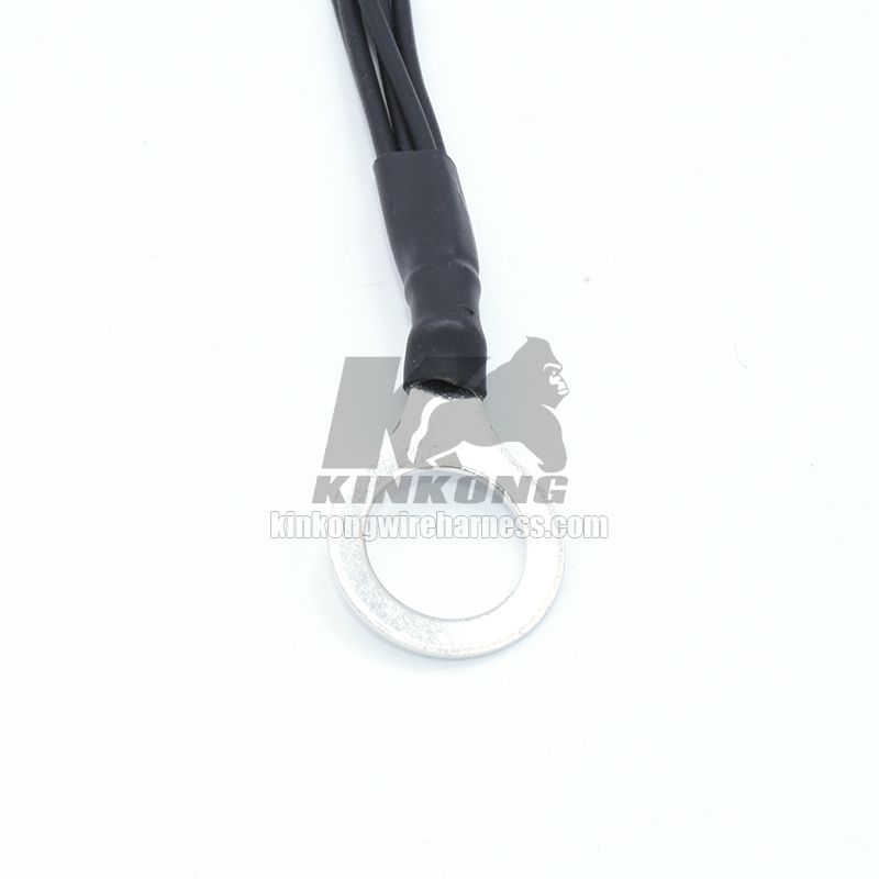 Custom engine wire harness for Honda