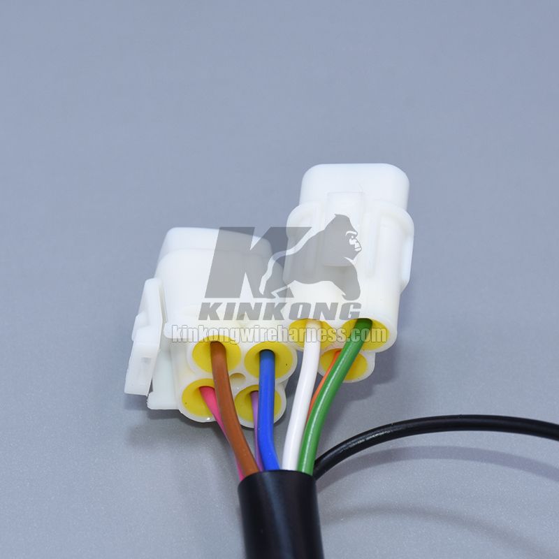 Custom LED Lights Wire Harness WD153