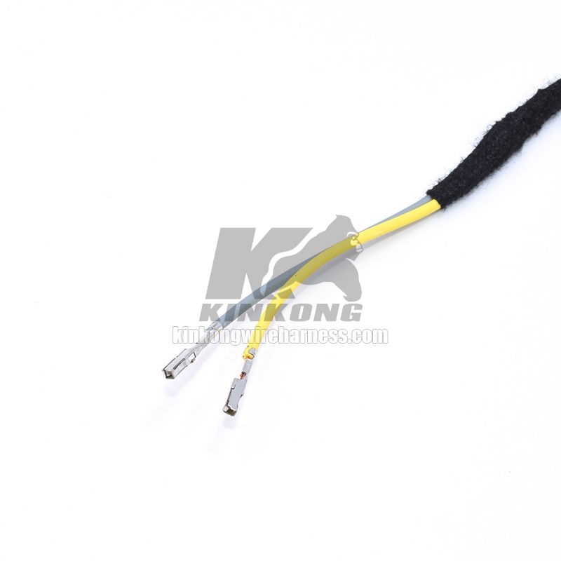 Headlight switch BCM harness for off road car