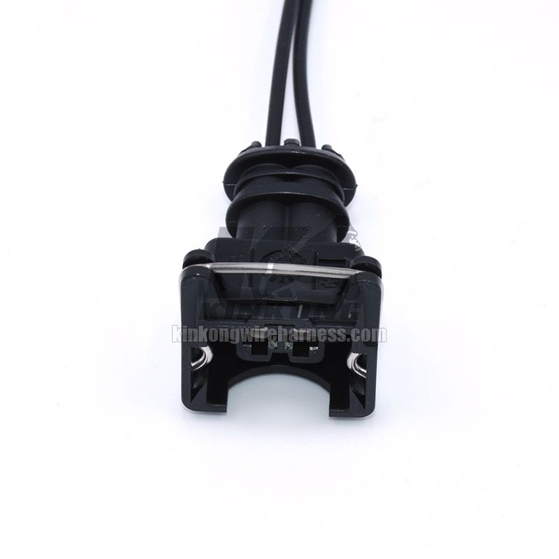 Tyco 2 Pin female Connector with wire harness