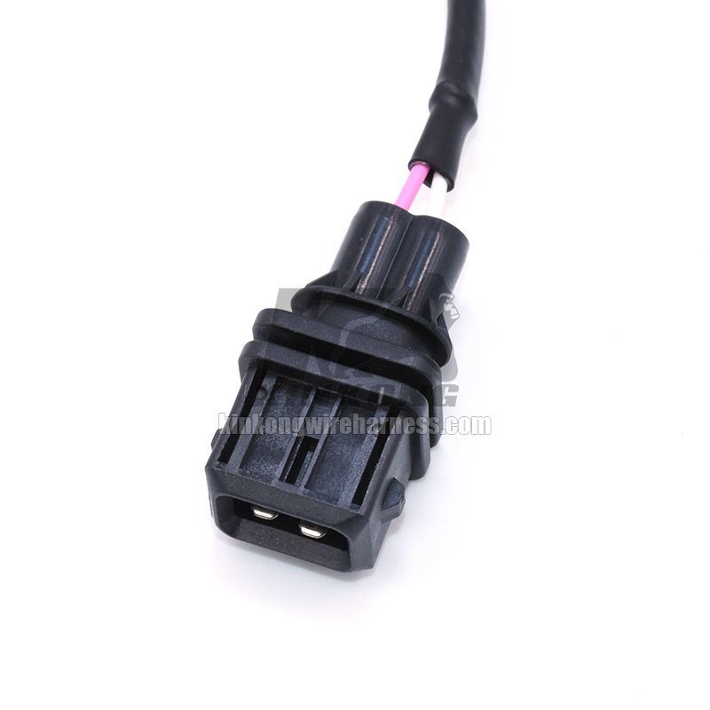 Custom automotive wiring harness 15102211B030 N448