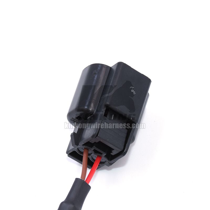 Kinkong custom 6 pin male For Lamp wire harness