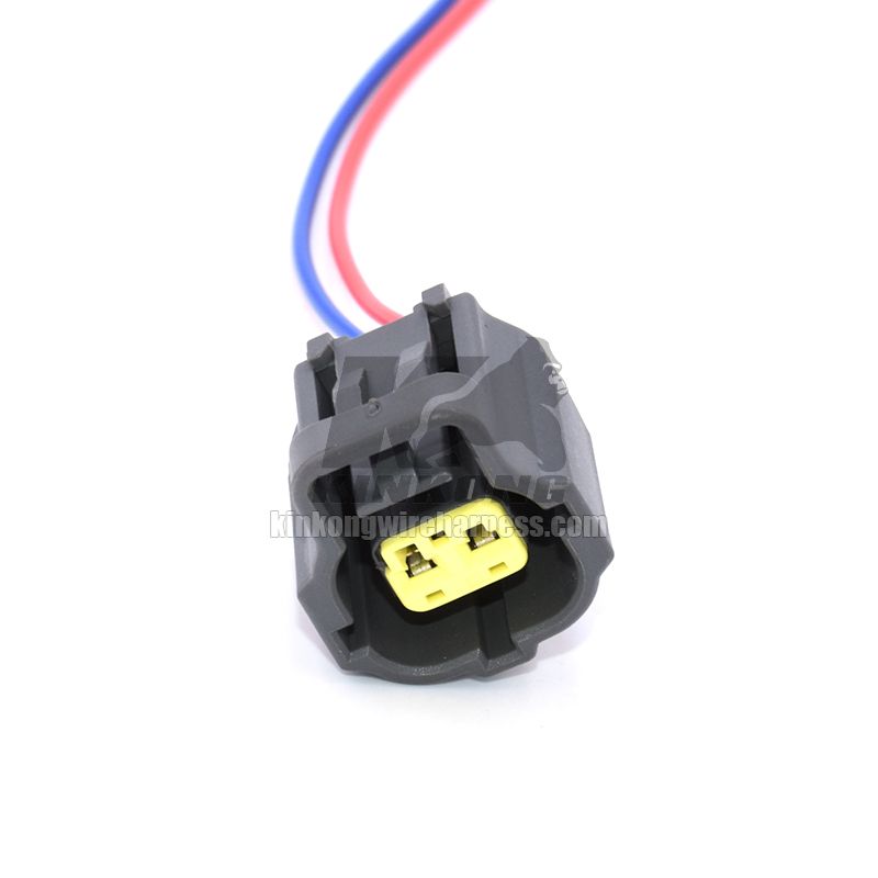 Kinkong custom Temperature Sensor Wire Harness 2pin